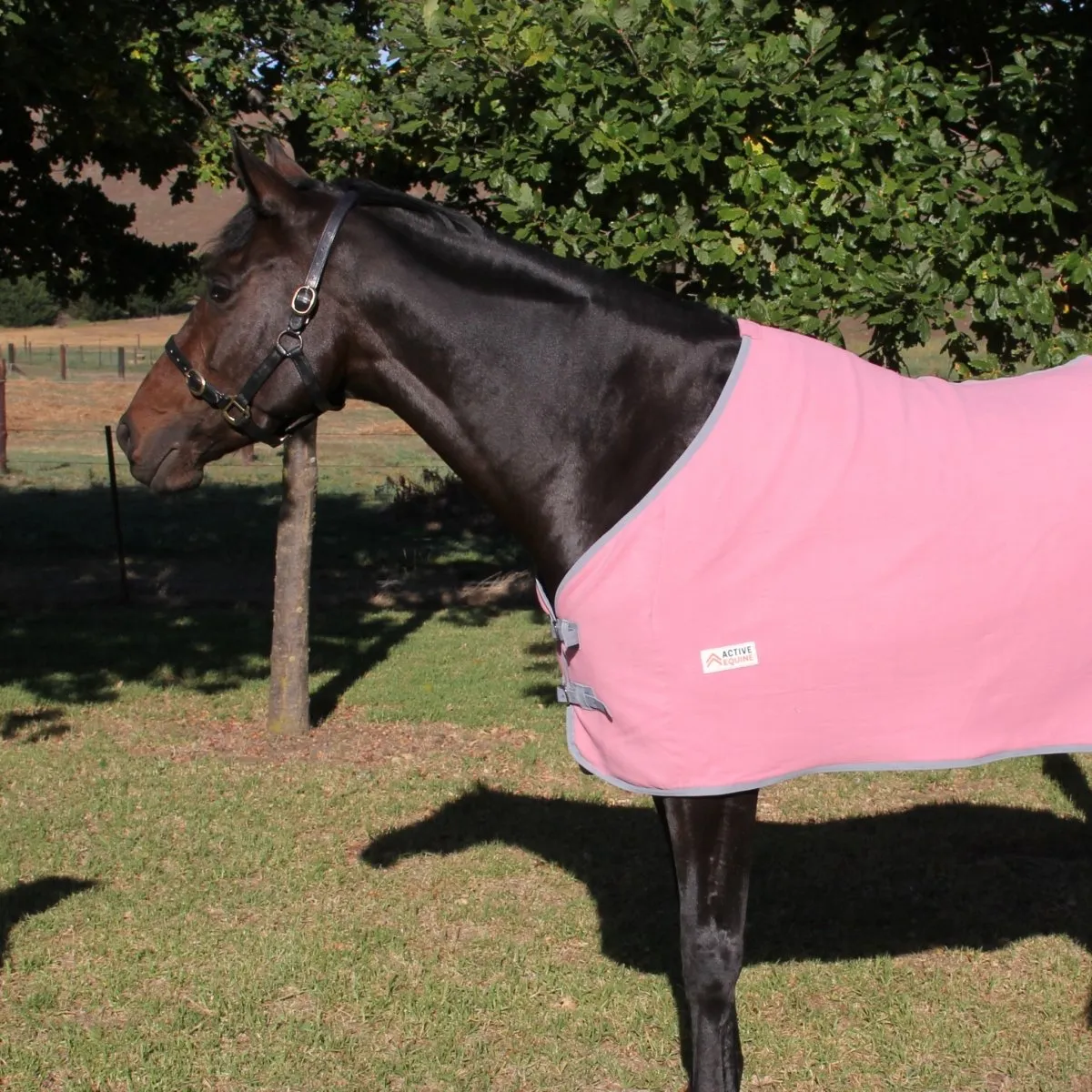 Fleece Horse Rug and Combo Rug | Active Equine